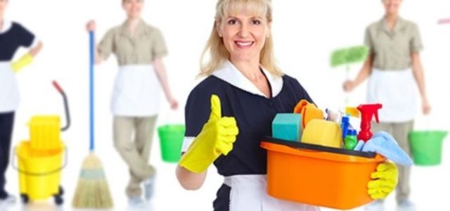 The Ultimate Guide to Mastering Domestic Cleaning