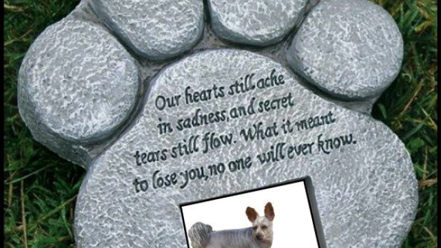 A Tribute to Our Beloved Companions: Honouring Pet Memories