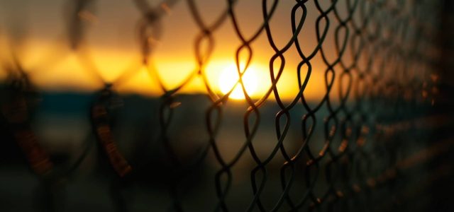 Fence on the Go: Unlocking the Power of Portable Fencing