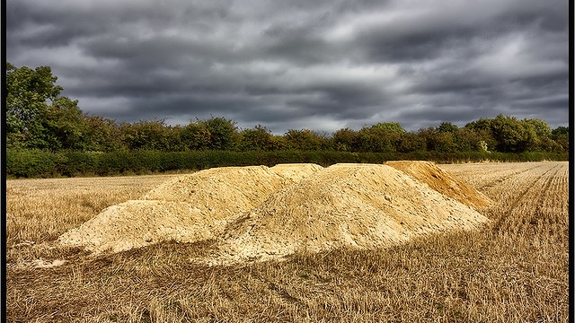 Growing Green: Unleashing the Power of Organic Soil and Fertilizer