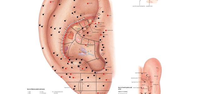 The Ancient Art of Acupuncture: Discovering the Needle’s Healing Power