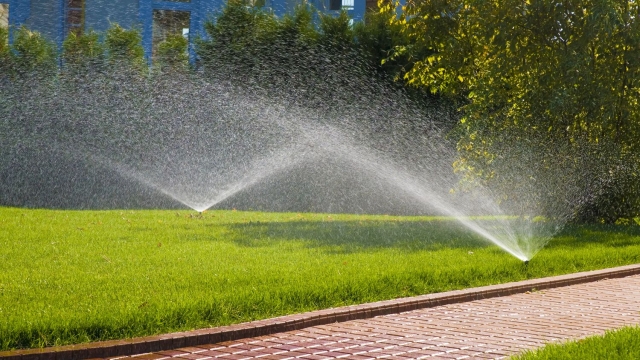 Water Work Wonders: A Spotlight on Skilled Irrigation Installers