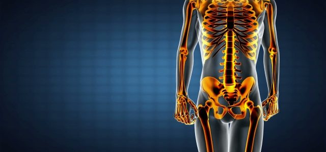 Bones, Joints, and Beyond: The World of Orthopedics
