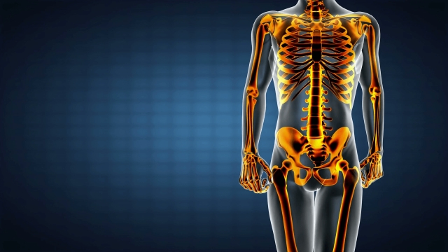 Bones, Joints, and Beyond: The World of Orthopedics