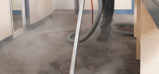 Reviving Your Space: The Ultimate Guide to Fresh Carpet Cleaning Techniques