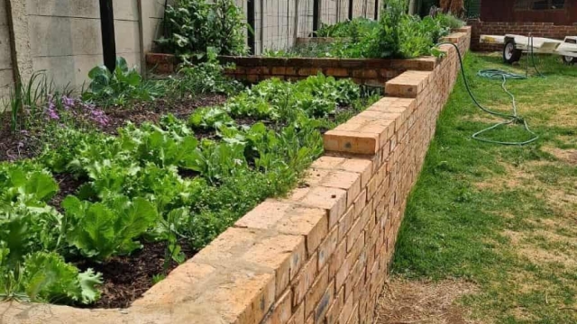 Sow, Grow, Reap: Unleashing the Magic of Garden Beds