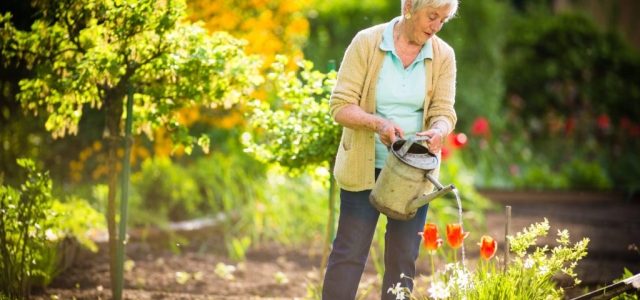 Blooming Brilliance: Unconventional Gardening Tips for Thriving Greenery