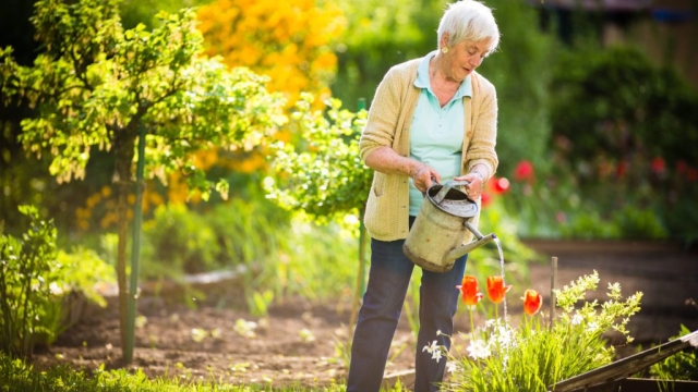 Blooming Brilliance: Unconventional Gardening Tips for Thriving Greenery