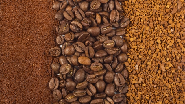 Brewing Bliss: Discovering the Art and Science of Coffee