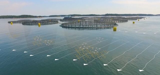 Revolutionizing the Future: The Rise of Aquaculture Technology