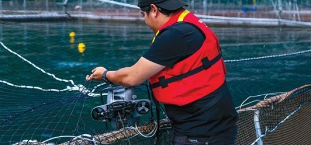 Revolutionizing the Waves: The Future of Aquaculture Technology