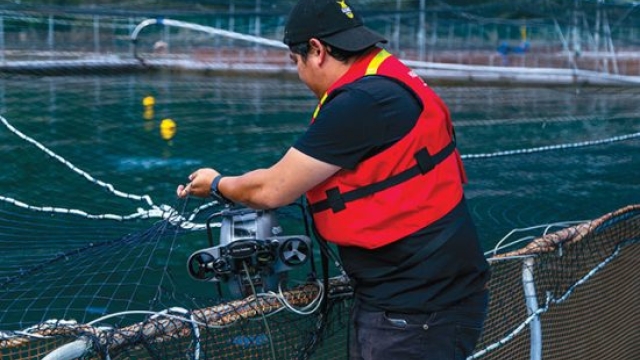 Revolutionizing the Waves: The Future of Aquaculture Technology